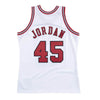 Authentic Jersey Chicago Bulls 1994-95 Michael Jordan